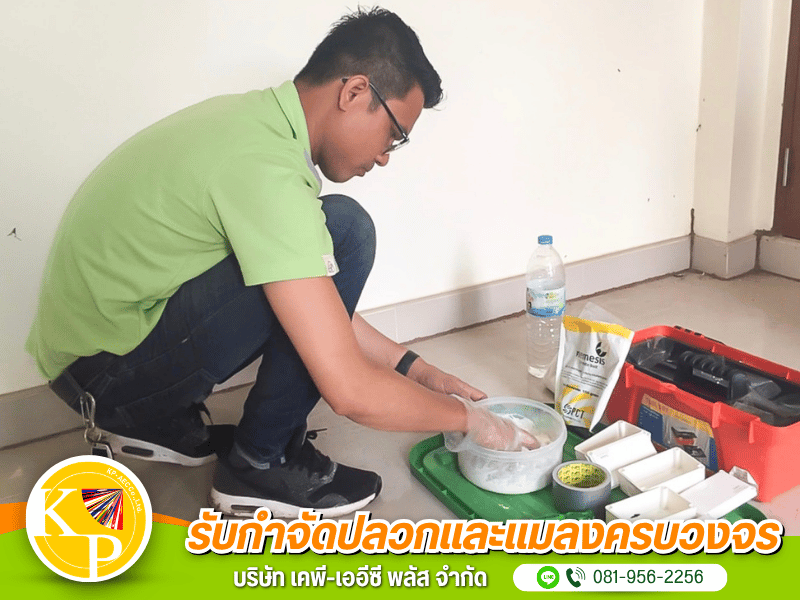 กำจัดปลวก Nemesis กำจัดปลวก Nemesis