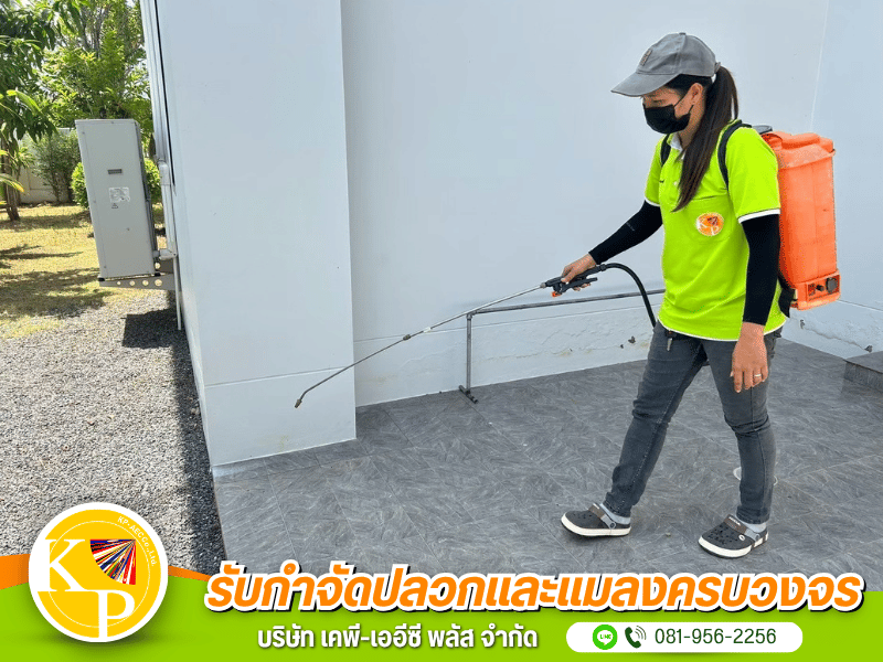 กำจัดปลวกครบวงจร กำจัดปลวกครบวงจร