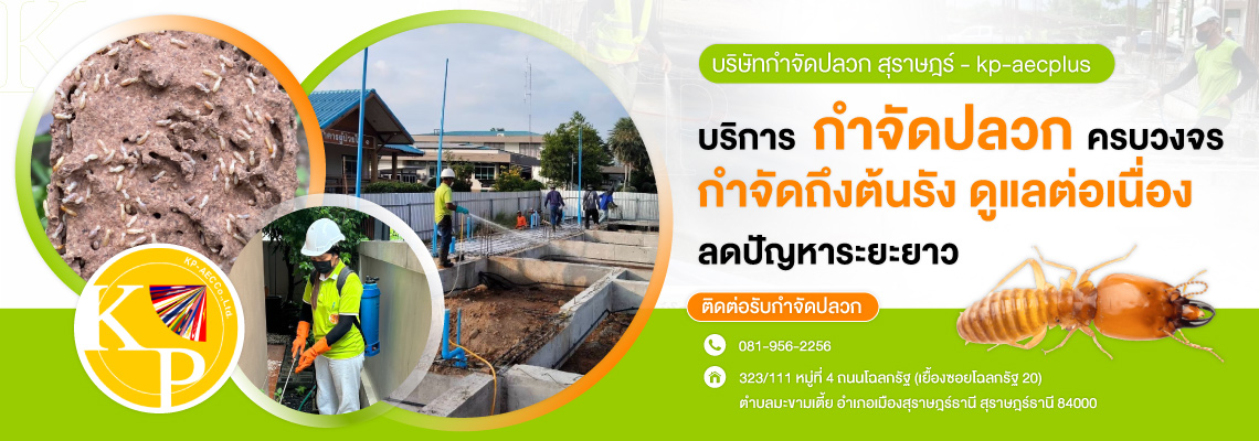บริษัทกำจัดปลวกสุราษฎร์-kp-aecplus