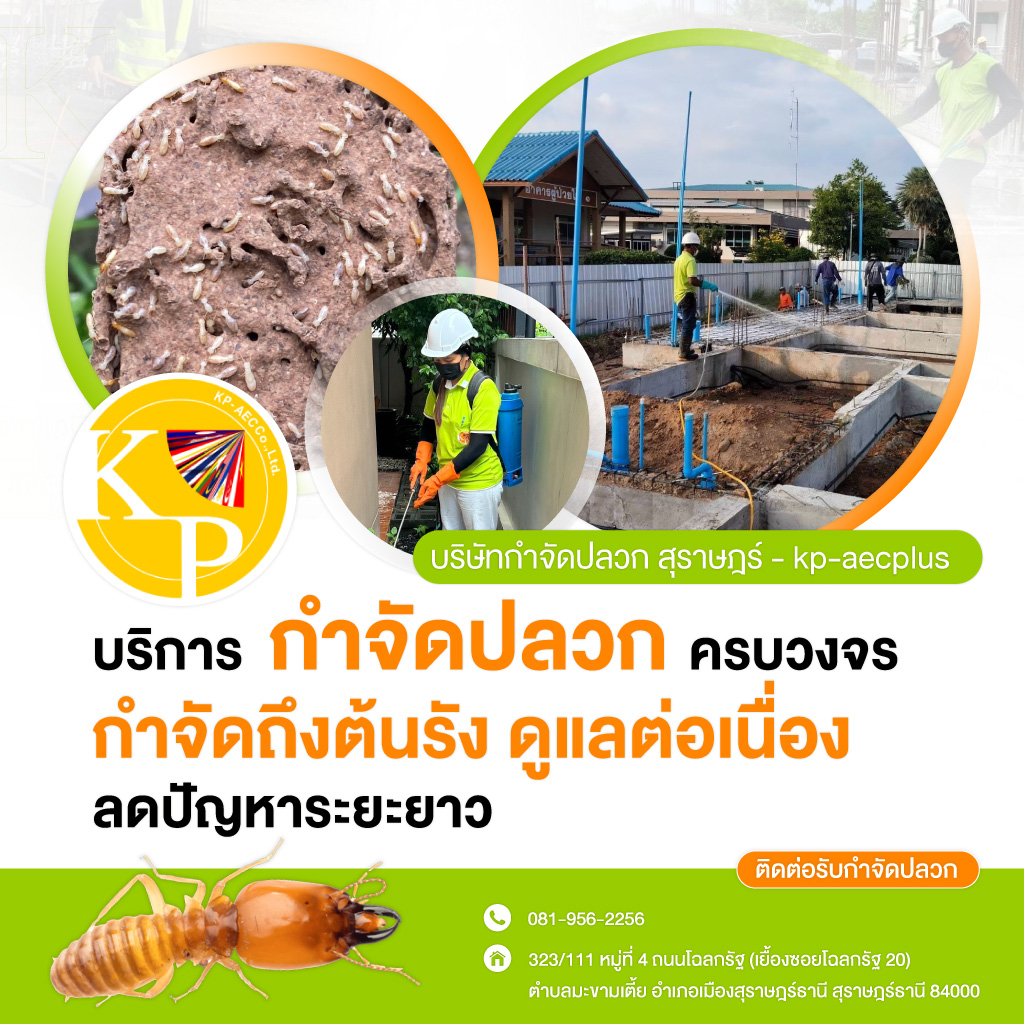 บริษัทกำจัดปลวกสุราษฎร์-kp-aecplus